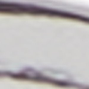 Marvinshades - Image 5