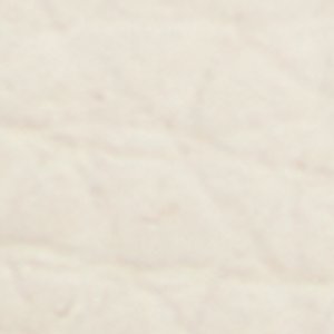 Seaexplorer - Image 9