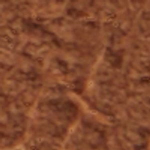 Seaexplorer - Image 9