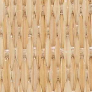 Brimortonnx - Image 6