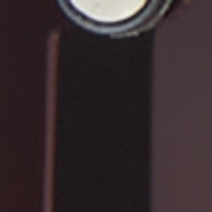 Lalaendrax - Image 4