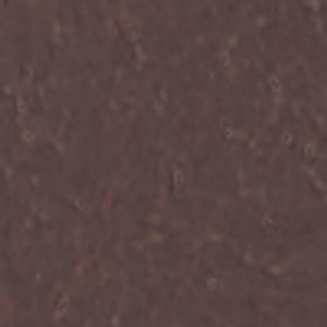 Wildhaven - Image 10