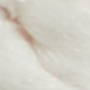 Summerfling - Image 9