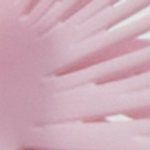 Petaldream - Image 3