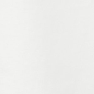 Timothy Goodman - Image 3