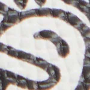 Timothy Goodman - Image 10