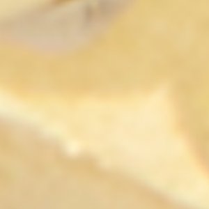 Yourletters - Image 3