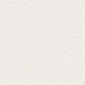 Timothy Goodman - Image 9