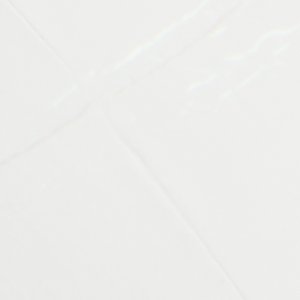 Chicsneaker2 - Image 8