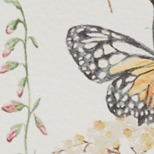 Evililyaax - Image 6