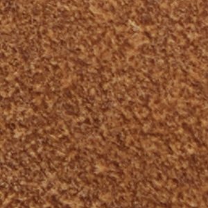 Nathaniell - Image 9