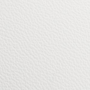 Nathaniell - Image 9