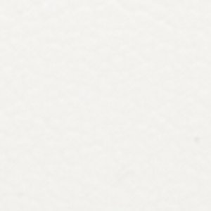 Clappertonnx - Image 6