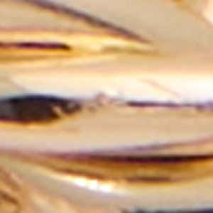 Meredendra - Image 2