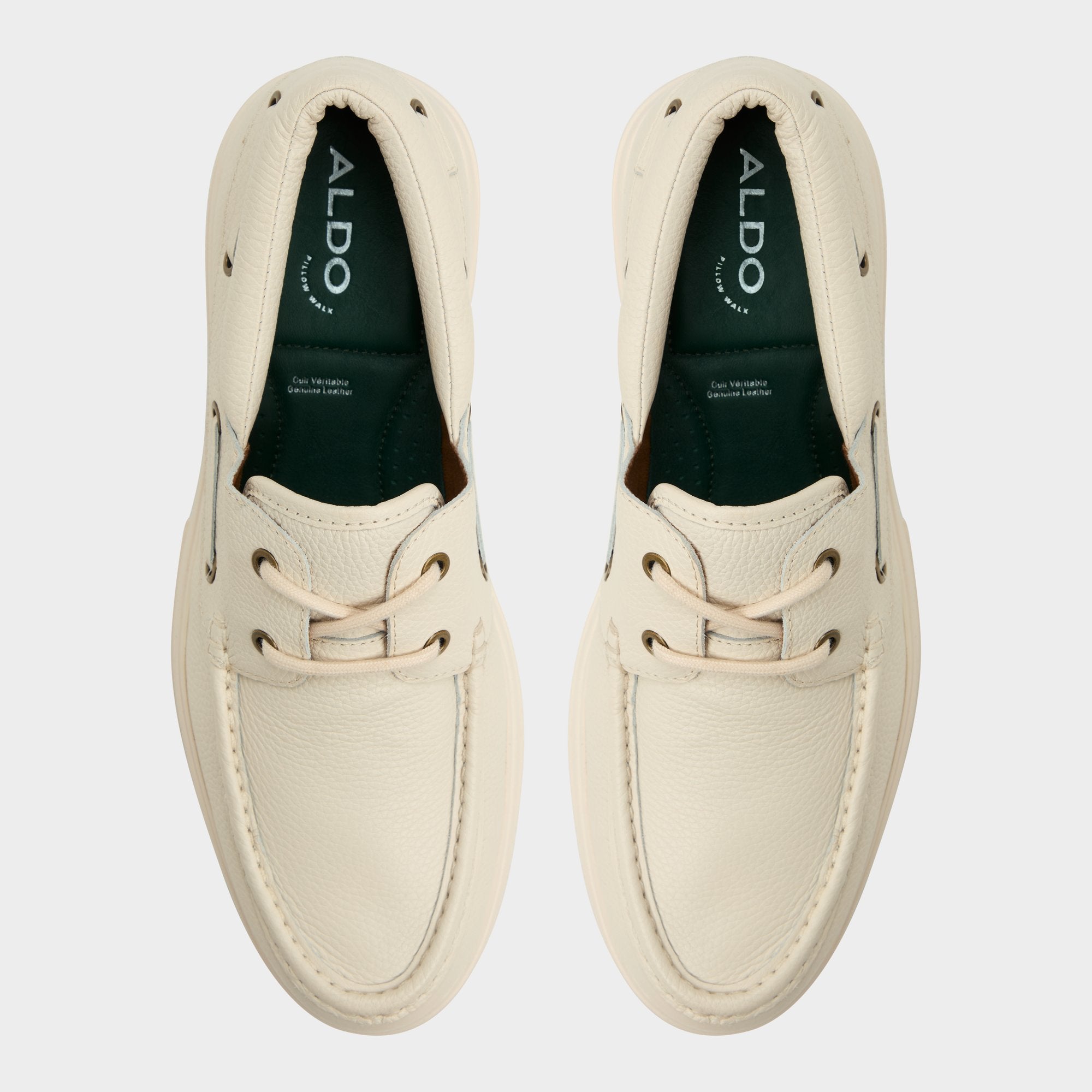 Seaexplorer - Image 6