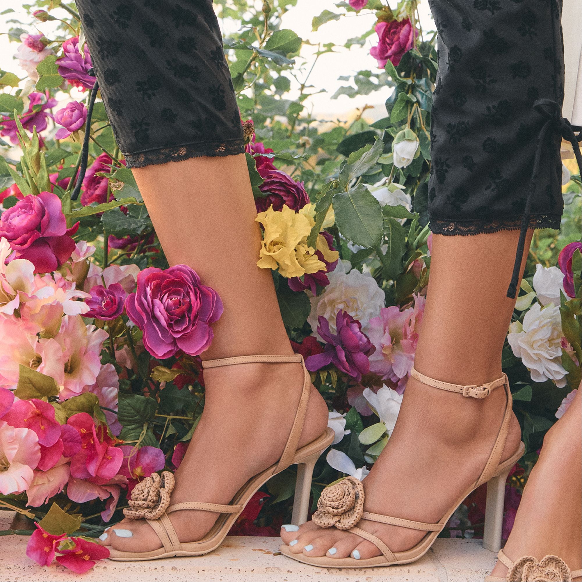 Wildblossom - Image 10