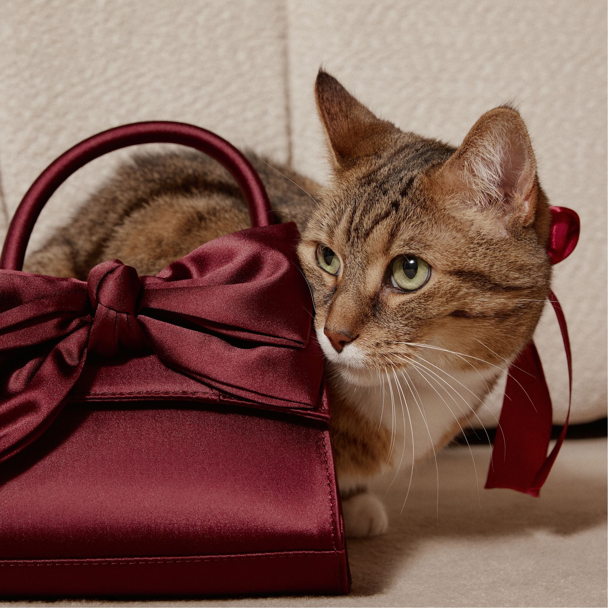 Decadencee - Image 8